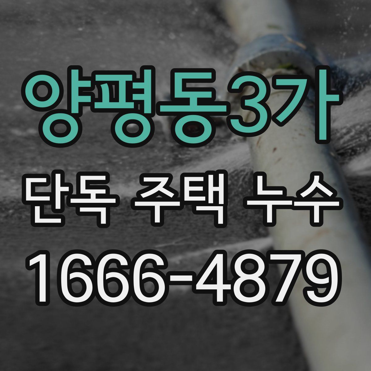 양평동3가 단독 주택 누수