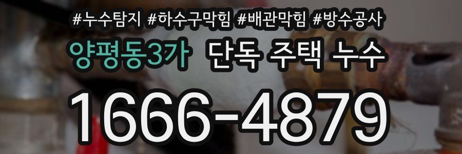 양평동3가 단독 주택 누수