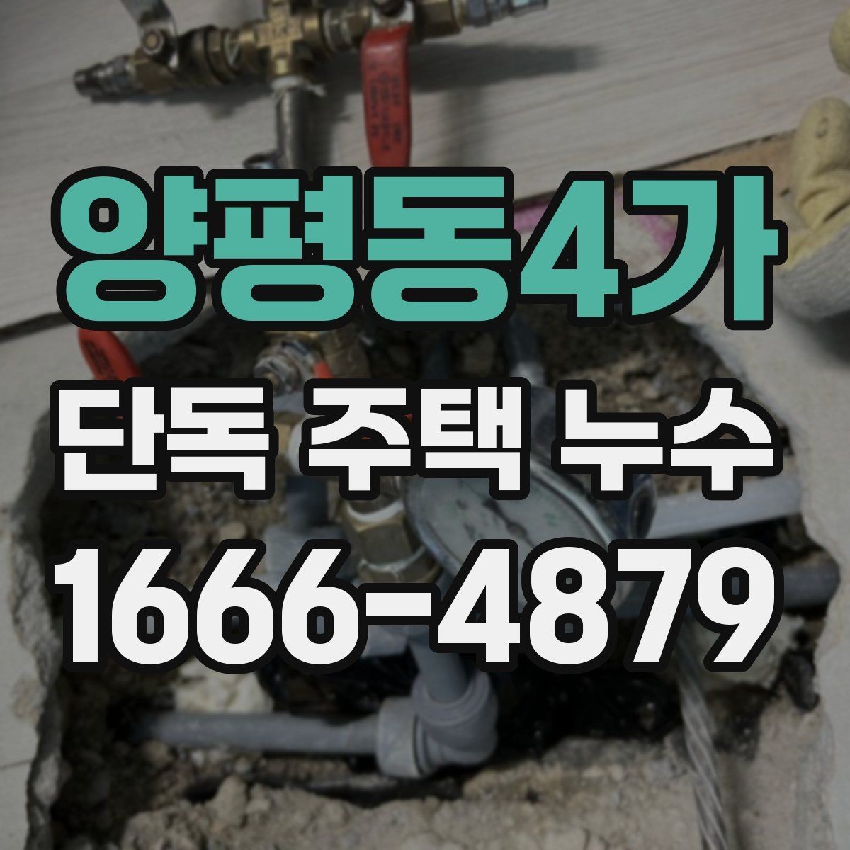 양평동4가 단독 주택 누수 원인이 천장일 때 확인법