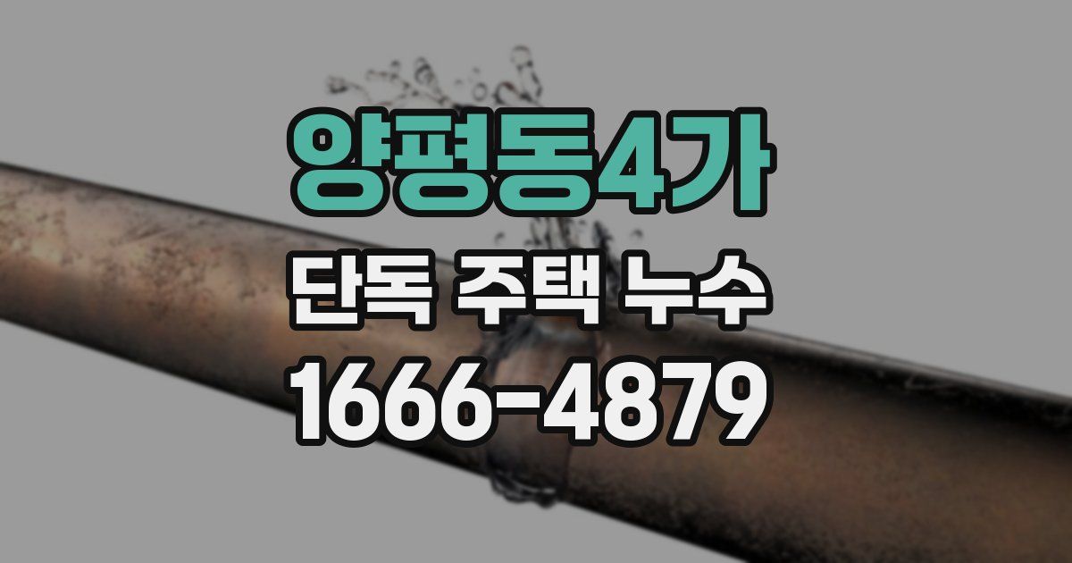 양평동4가 단독 주택 누수