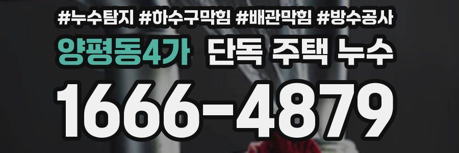 양평동4가 단독 주택 누수