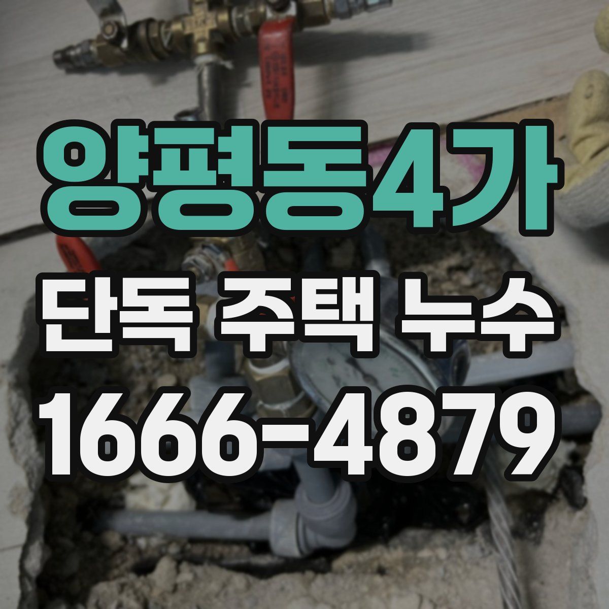 양평동4가 단독 주택 누수