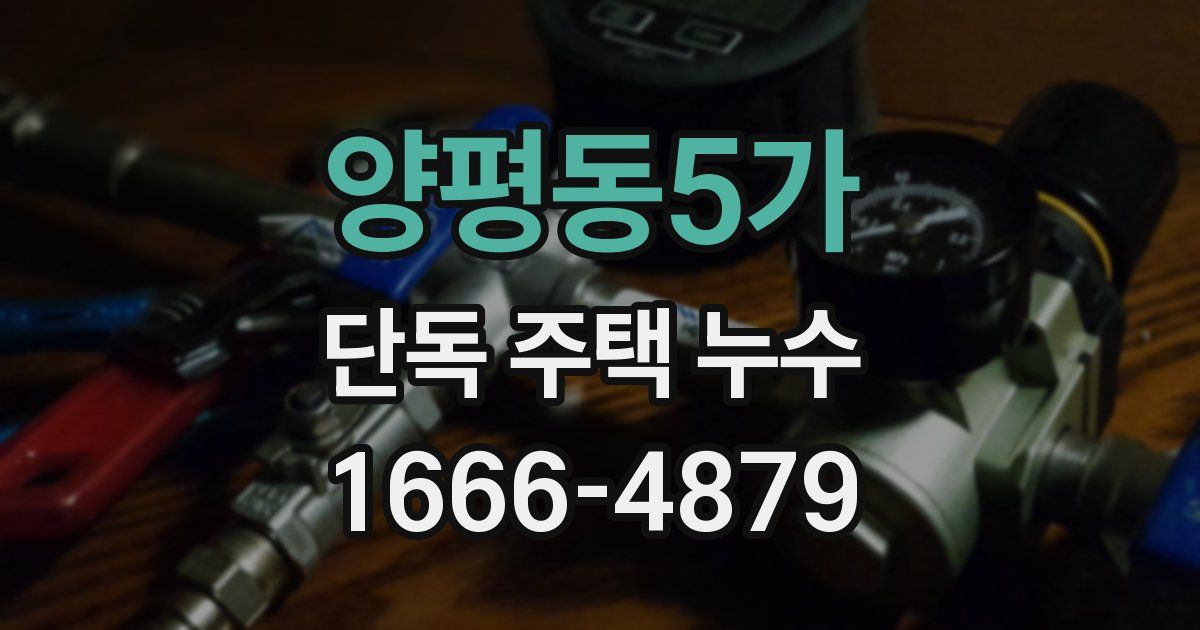 양평동5가 단독 주택 누수