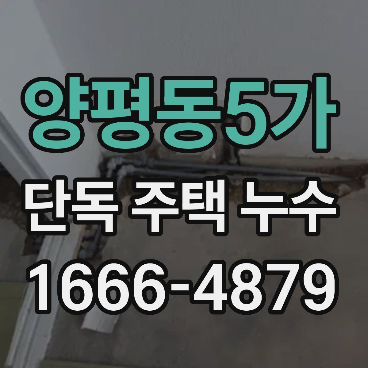 양평동5가 단독 주택 누수