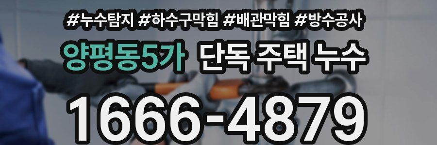 양평동5가 단독 주택 누수