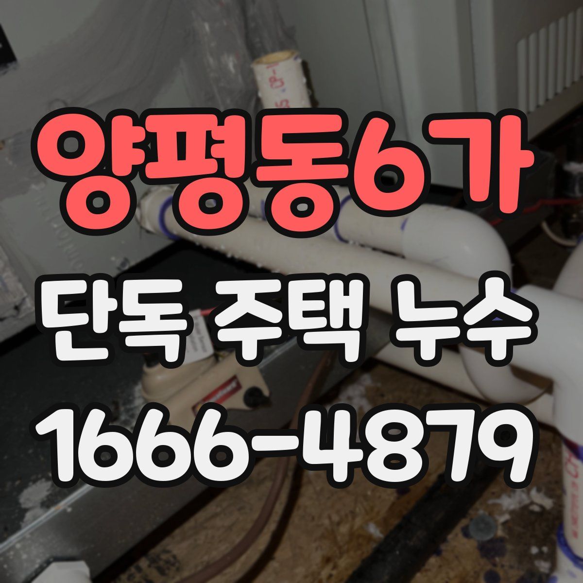 양평동6가 단독 주택 누수