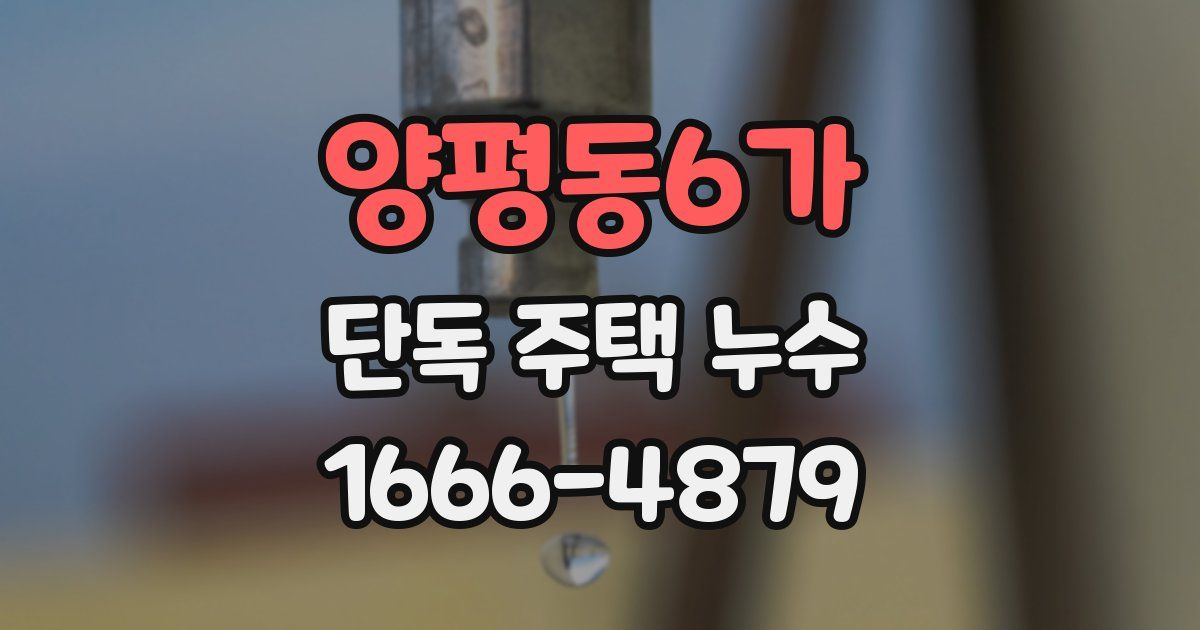 양평동6가 단독 주택 누수
