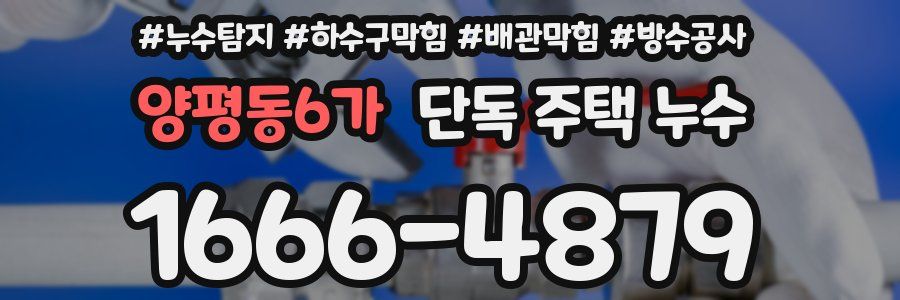 양평동6가 단독 주택 누수