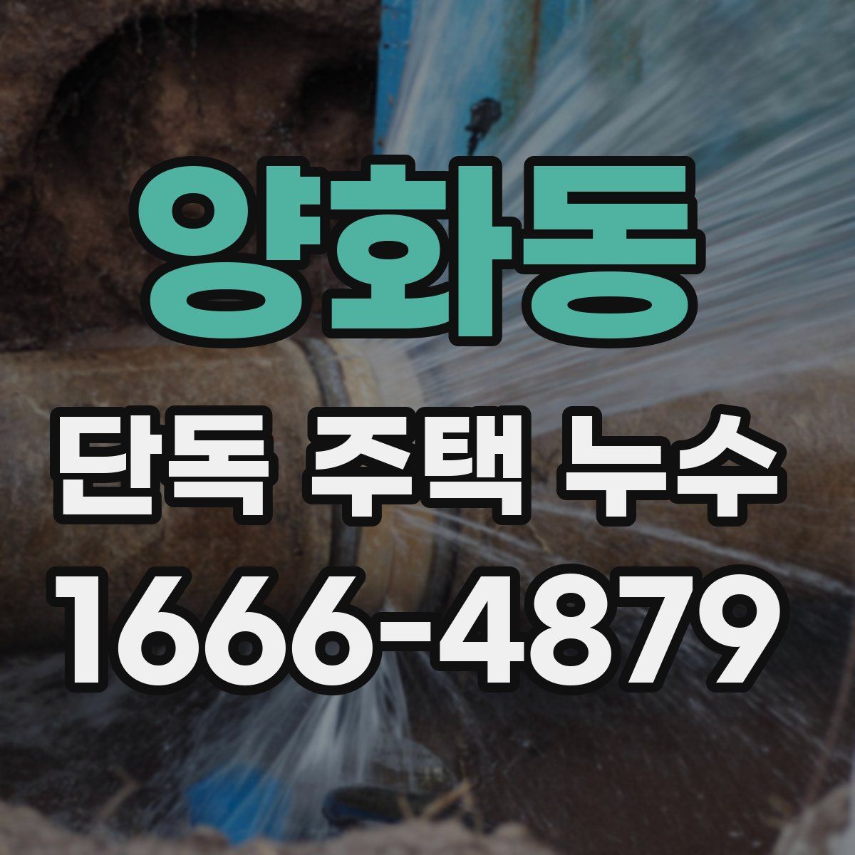 양화동 단독 주택 누수