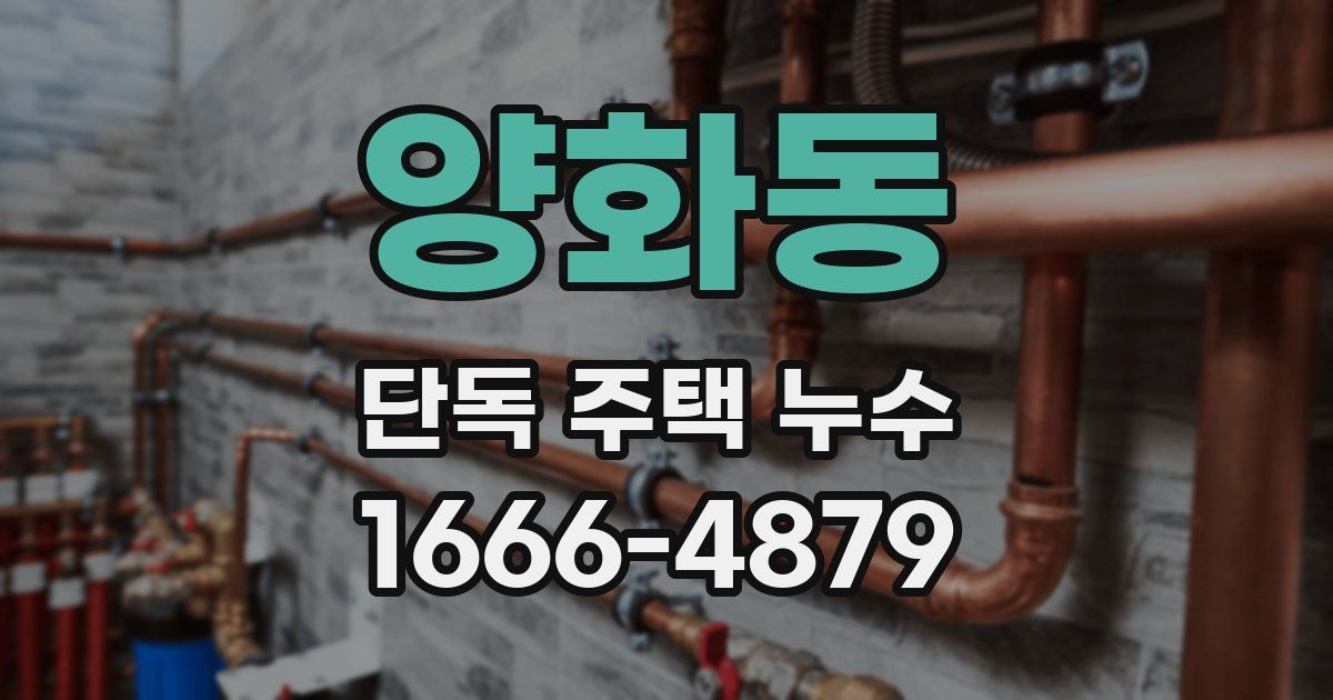 양화동 단독 주택 누수