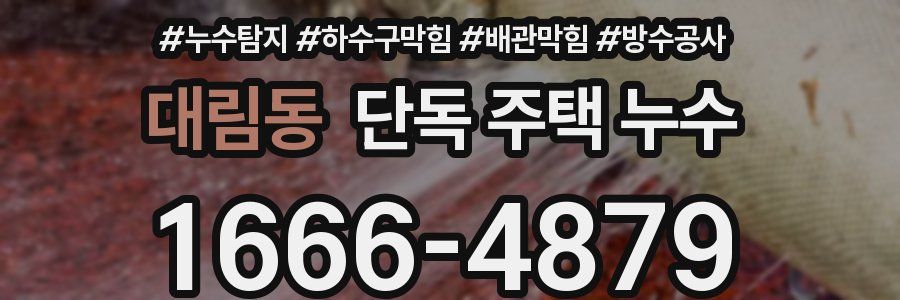 대림동 단독 주택 누수