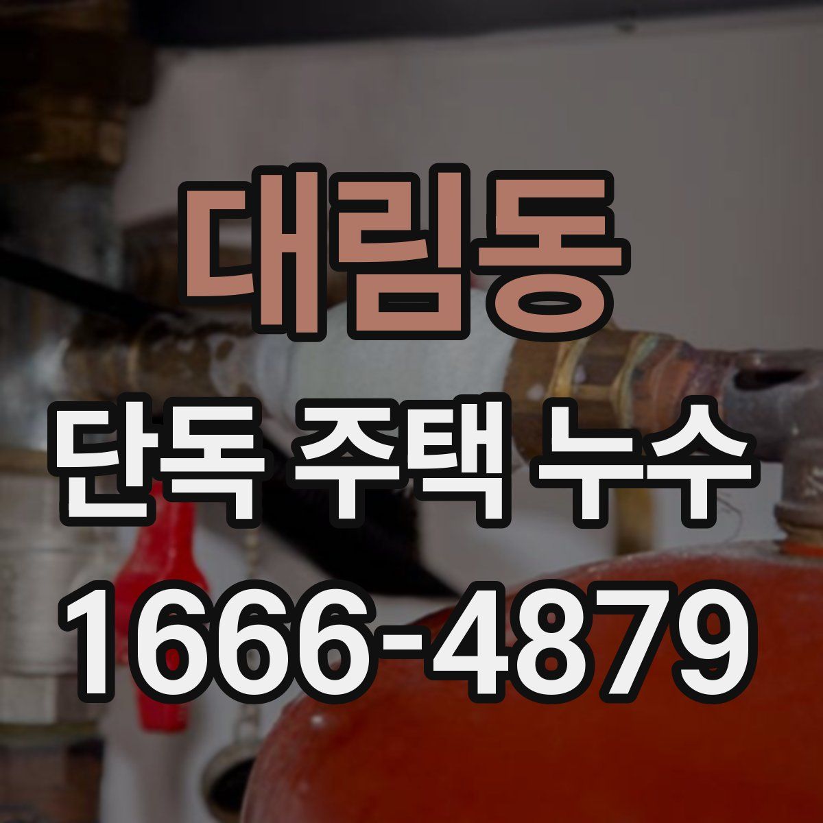 대림동 단독 주택 누수