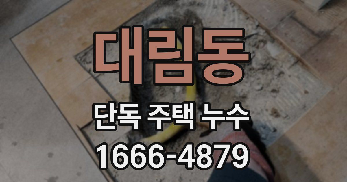 대림동 단독 주택 누수