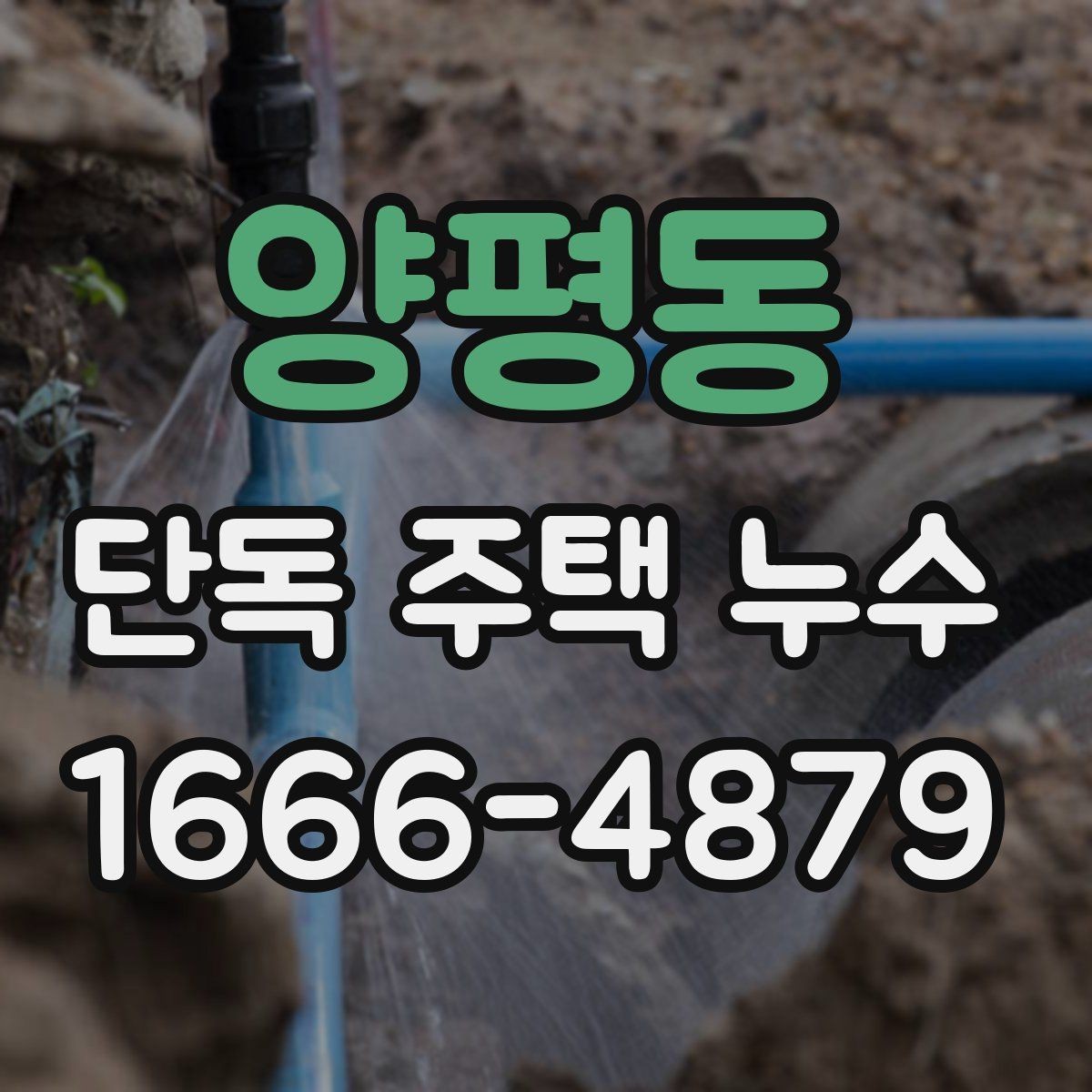 양평동 단독 주택 누수 장마철 대비 점검 포인트