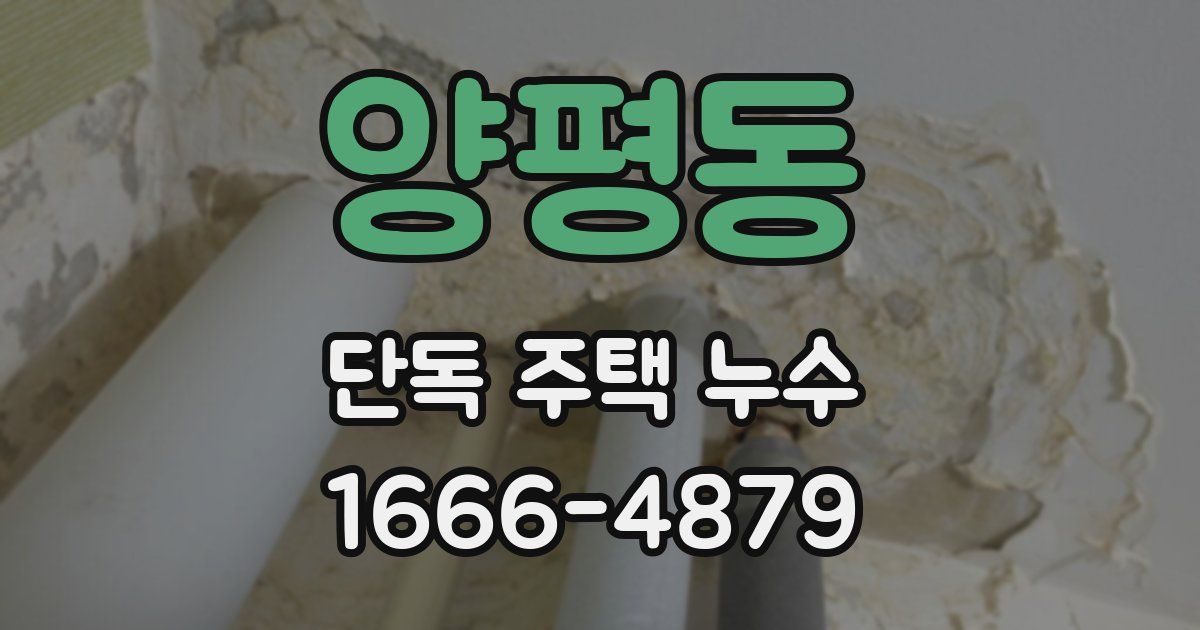 양평동 단독 주택 누수