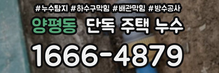 양평동 단독 주택 누수