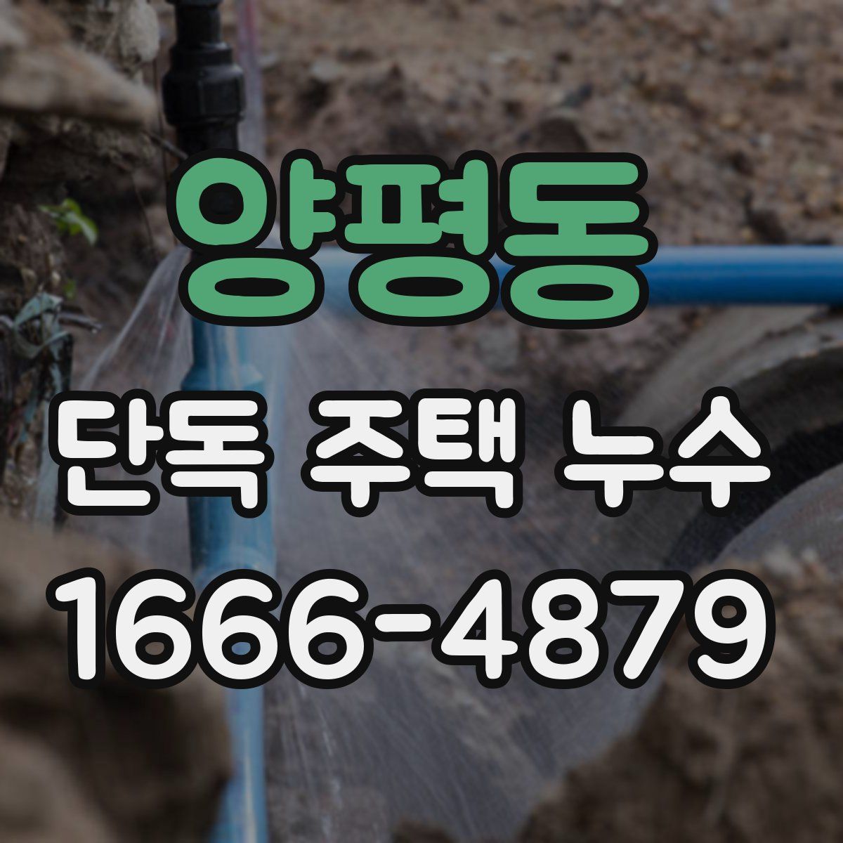 양평동 단독 주택 누수