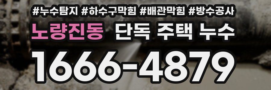 노량진동 단독 주택 누수