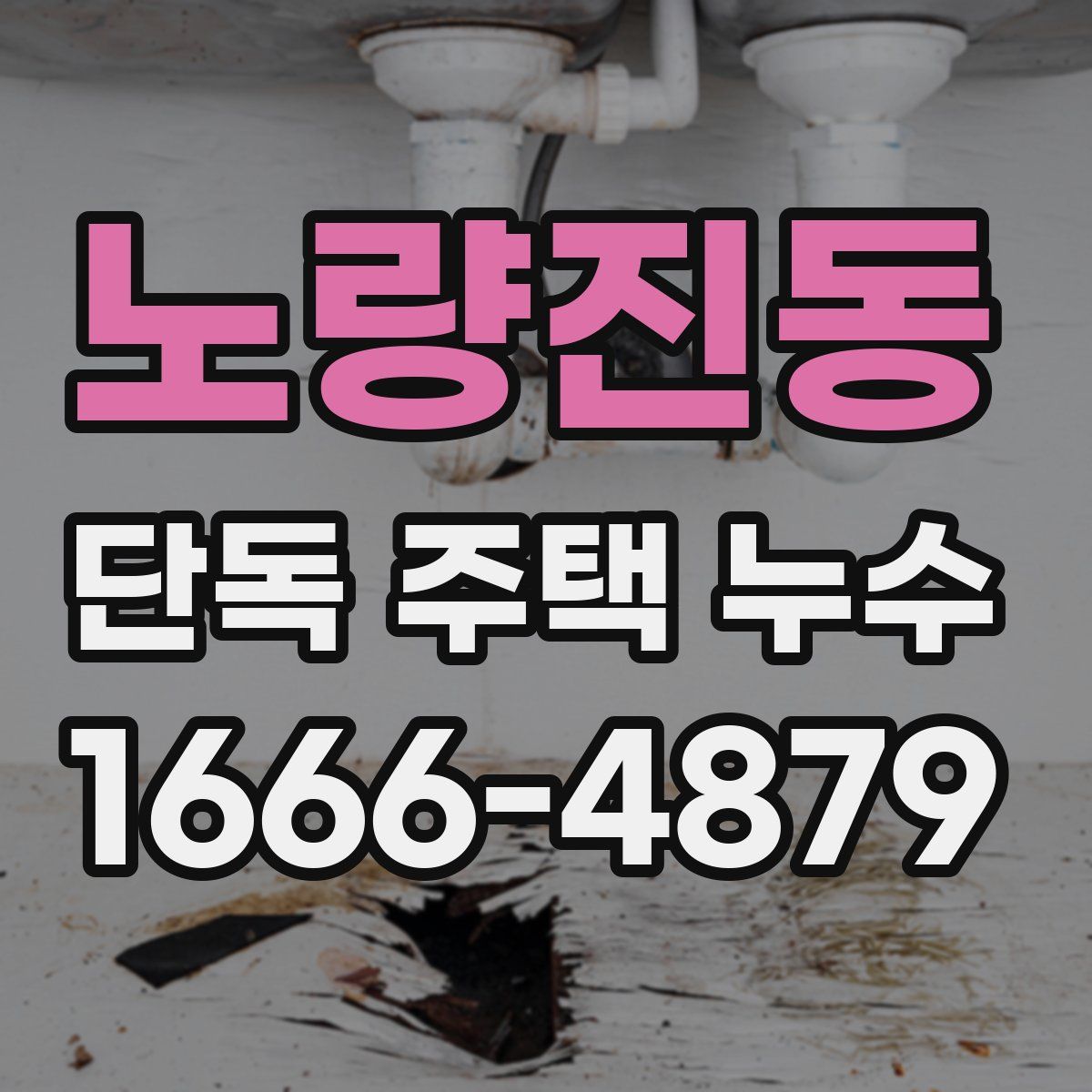 노량진동 단독 주택 누수