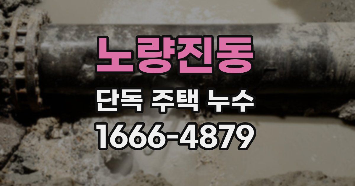 노량진동 단독 주택 누수