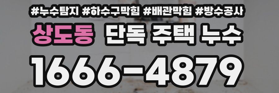 상도동 단독 주택 누수