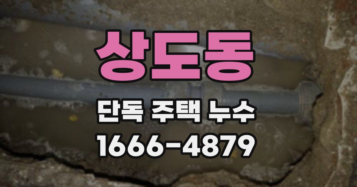 상도동 단독 주택 누수