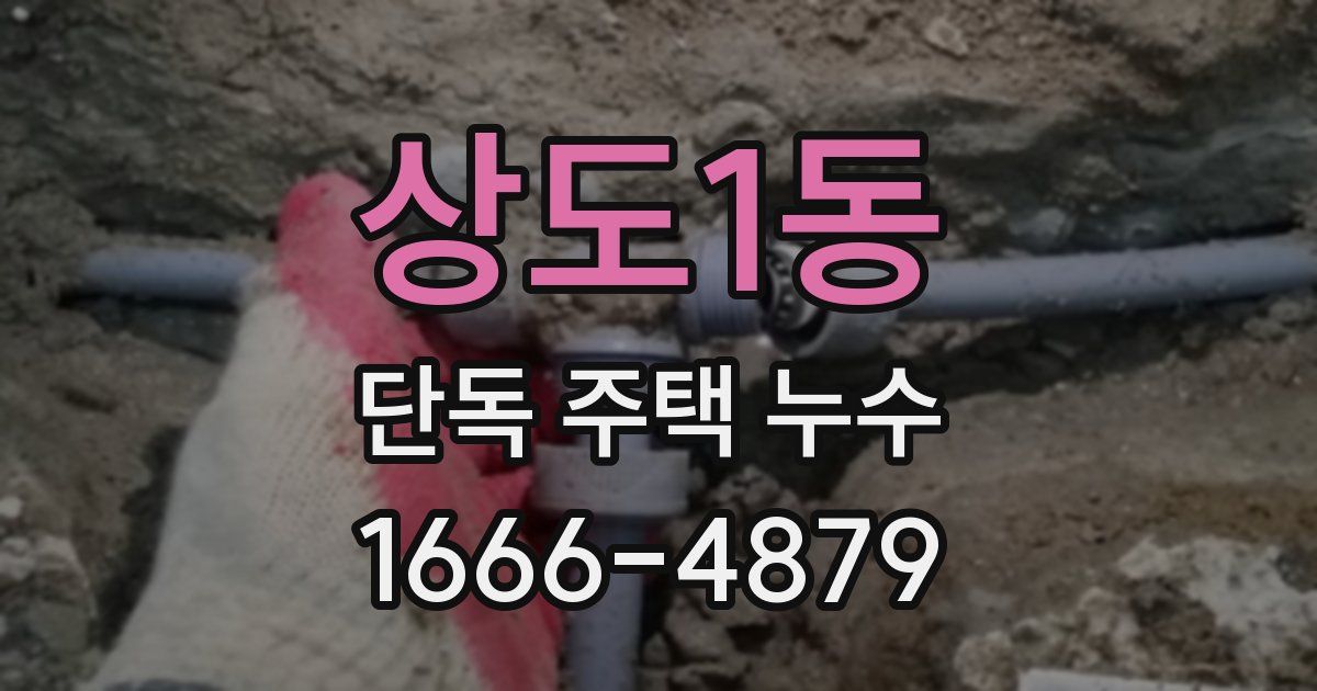 상도1동 단독 주택 누수