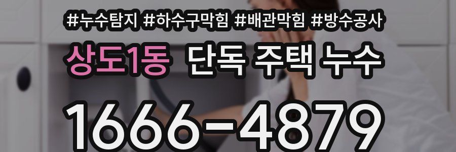 상도1동 단독 주택 누수