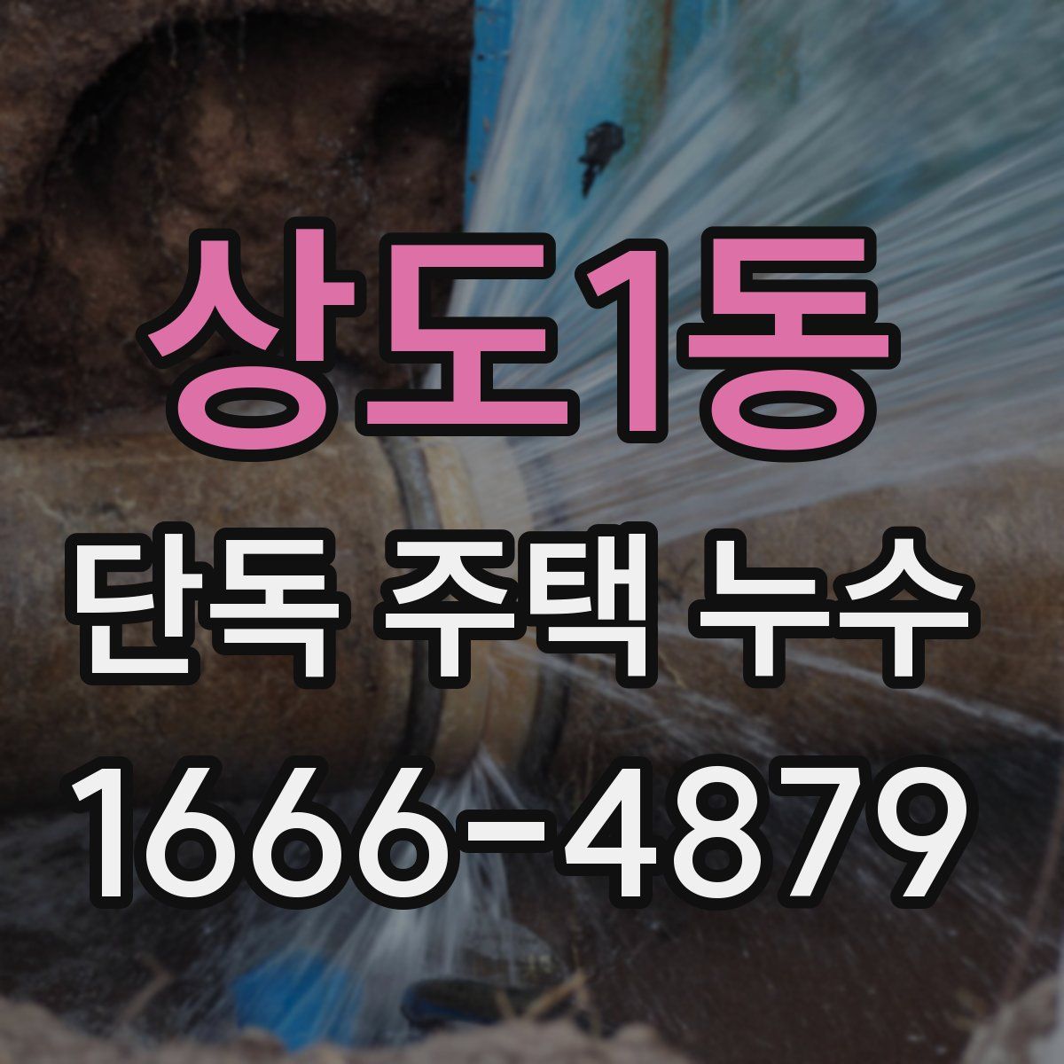상도1동 단독 주택 누수