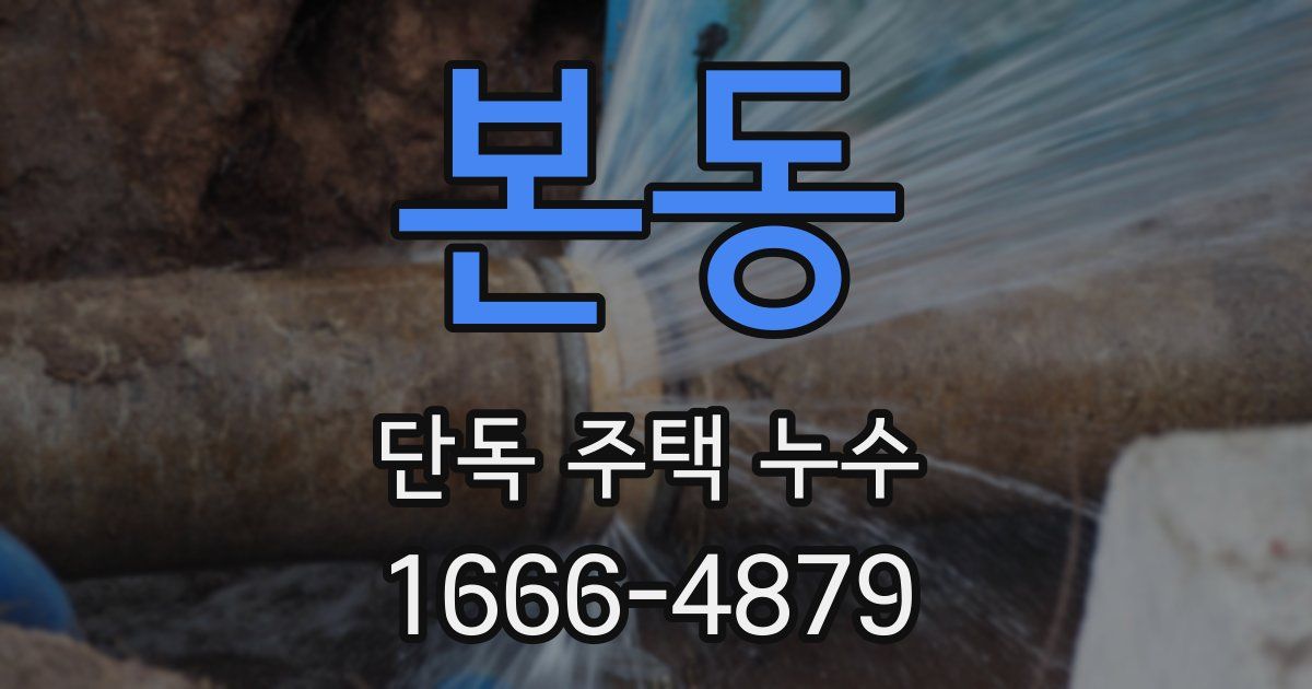 본동 단독 주택 누수