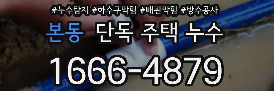본동 단독 주택 누수