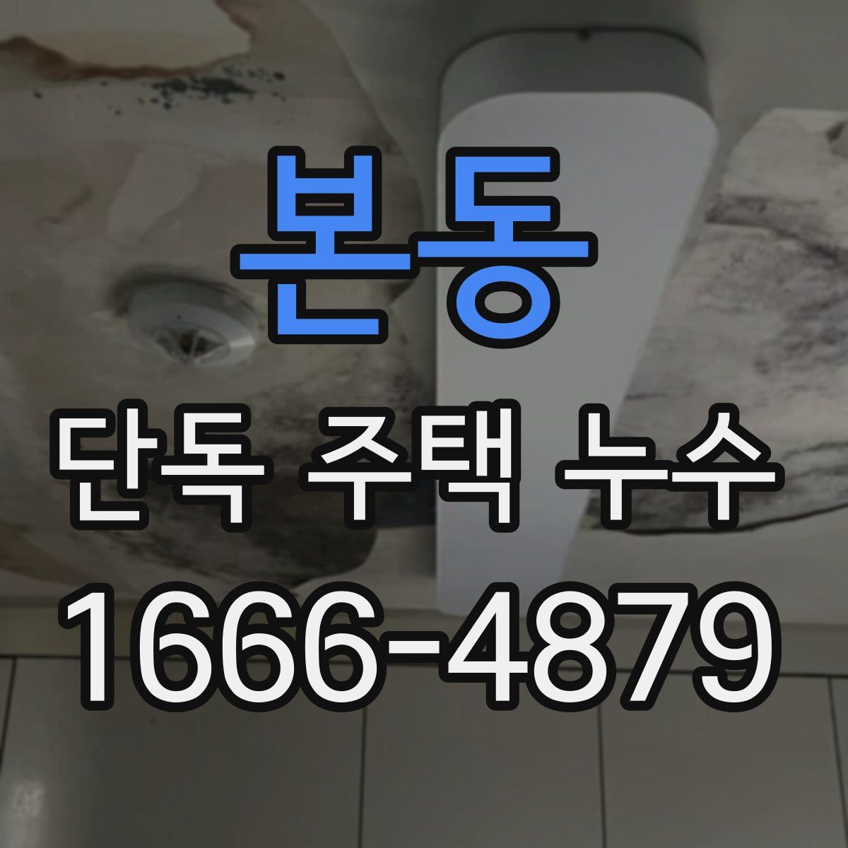본동 단독 주택 누수
