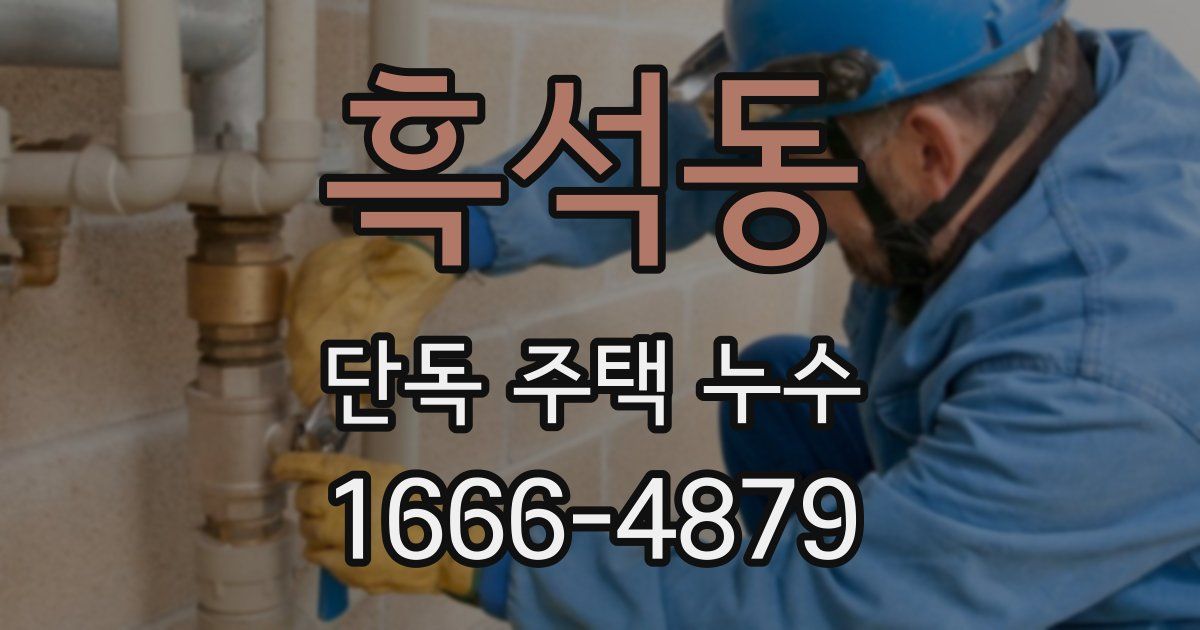 흑석동 단독 주택 누수