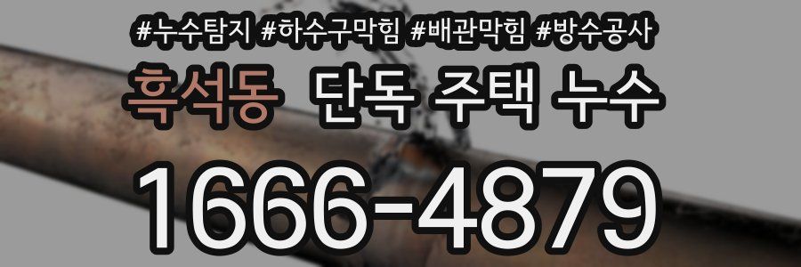 흑석동 단독 주택 누수