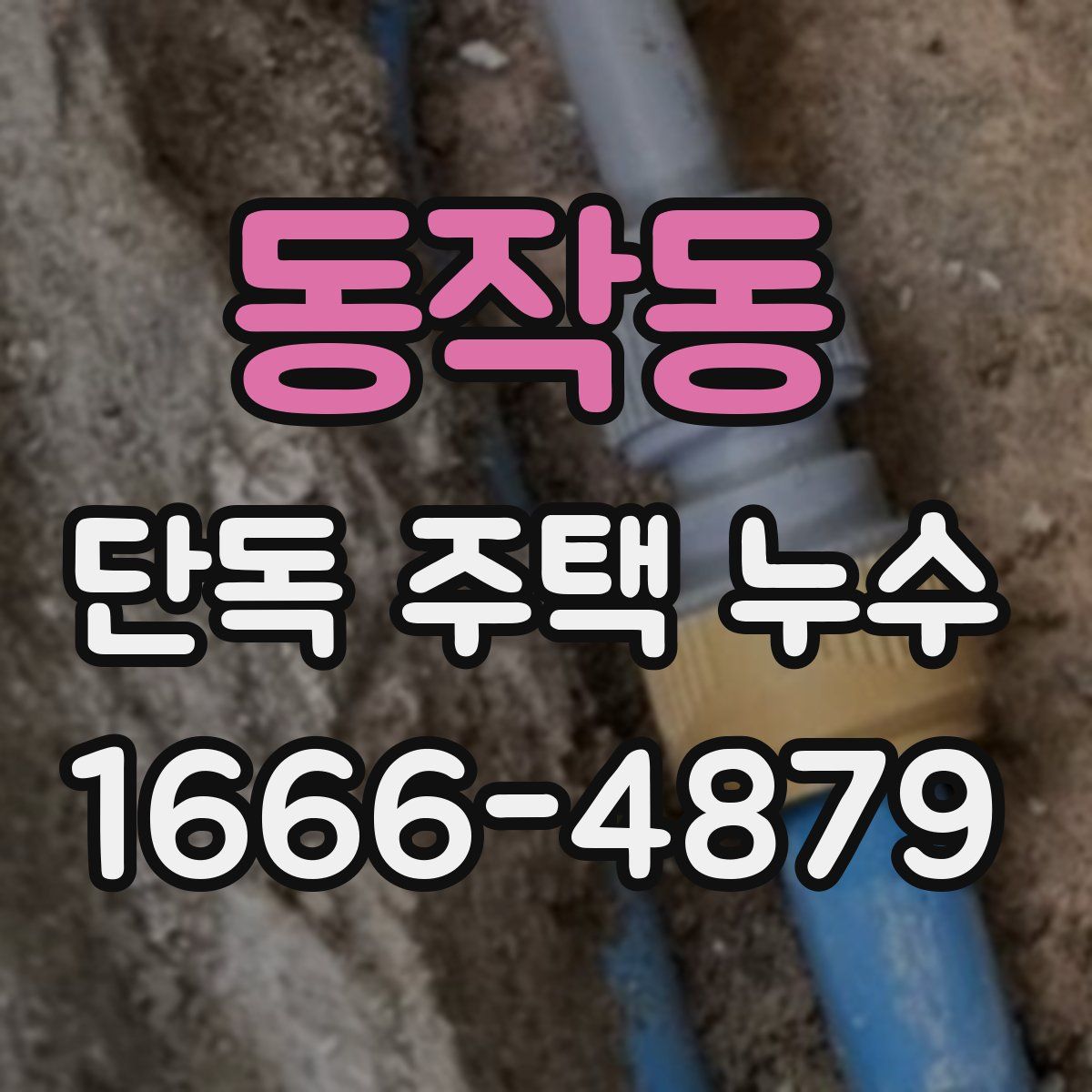 동작동 단독 주택 누수
