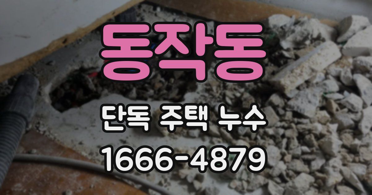 동작동 단독 주택 누수