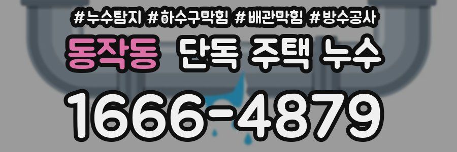 동작동 단독 주택 누수