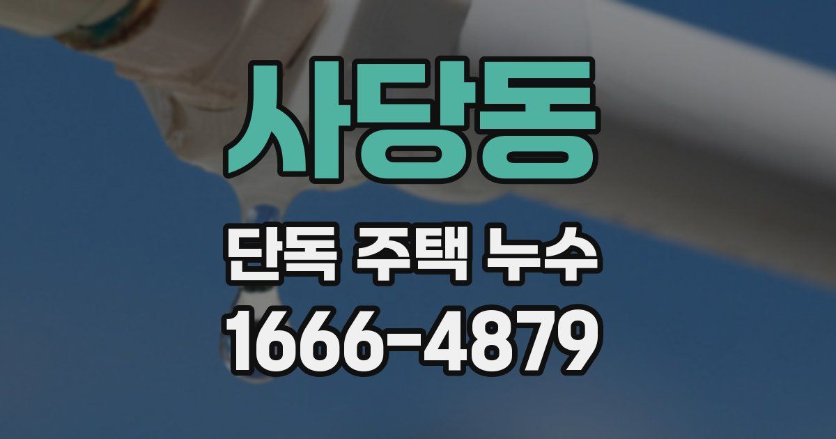 사당동 단독 주택 누수