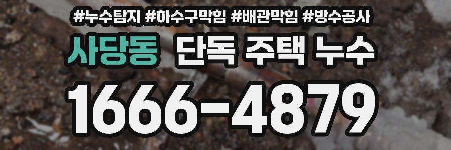 사당동 단독 주택 누수
