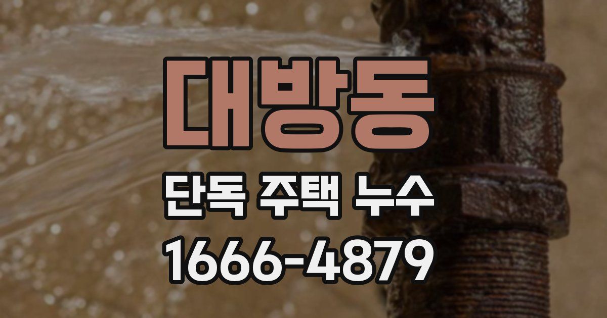 대방동 단독 주택 누수