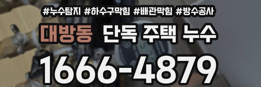 대방동 단독 주택 누수