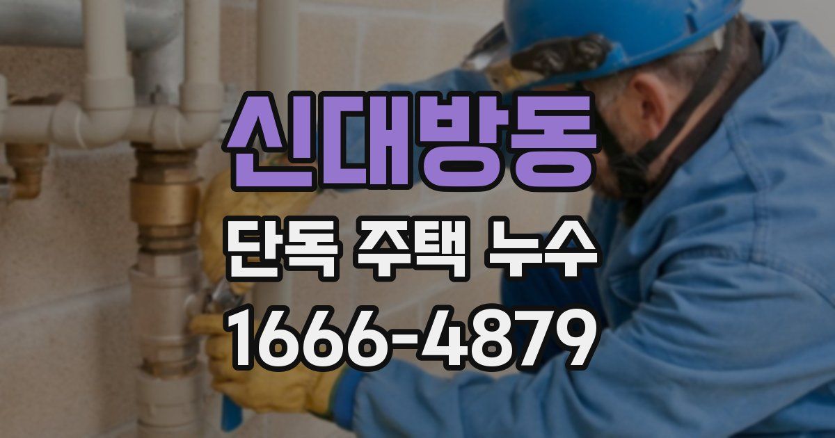 신대방동 단독 주택 누수