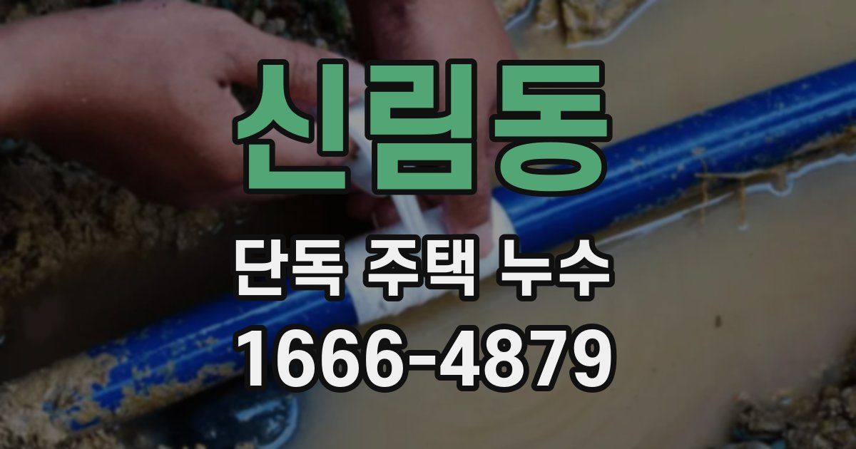 신림동 단독 주택 누수