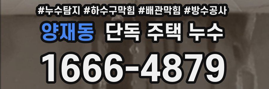 양재동 단독 주택 누수