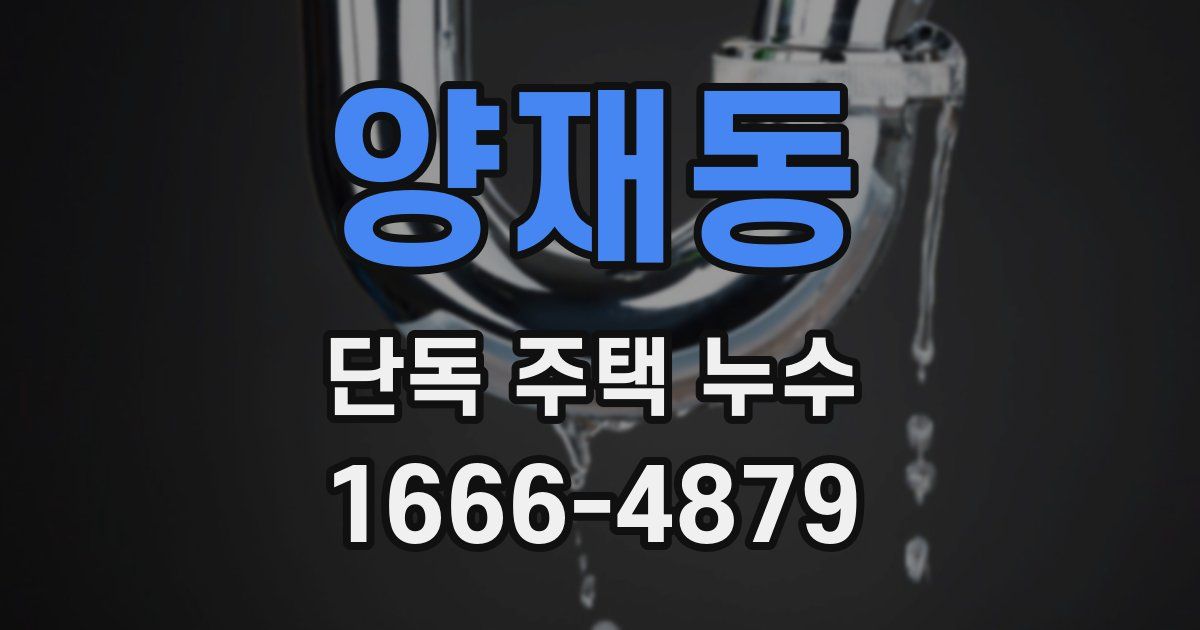 양재동 단독 주택 누수