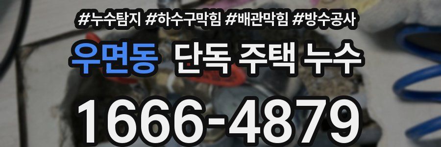 우면동 단독 주택 누수