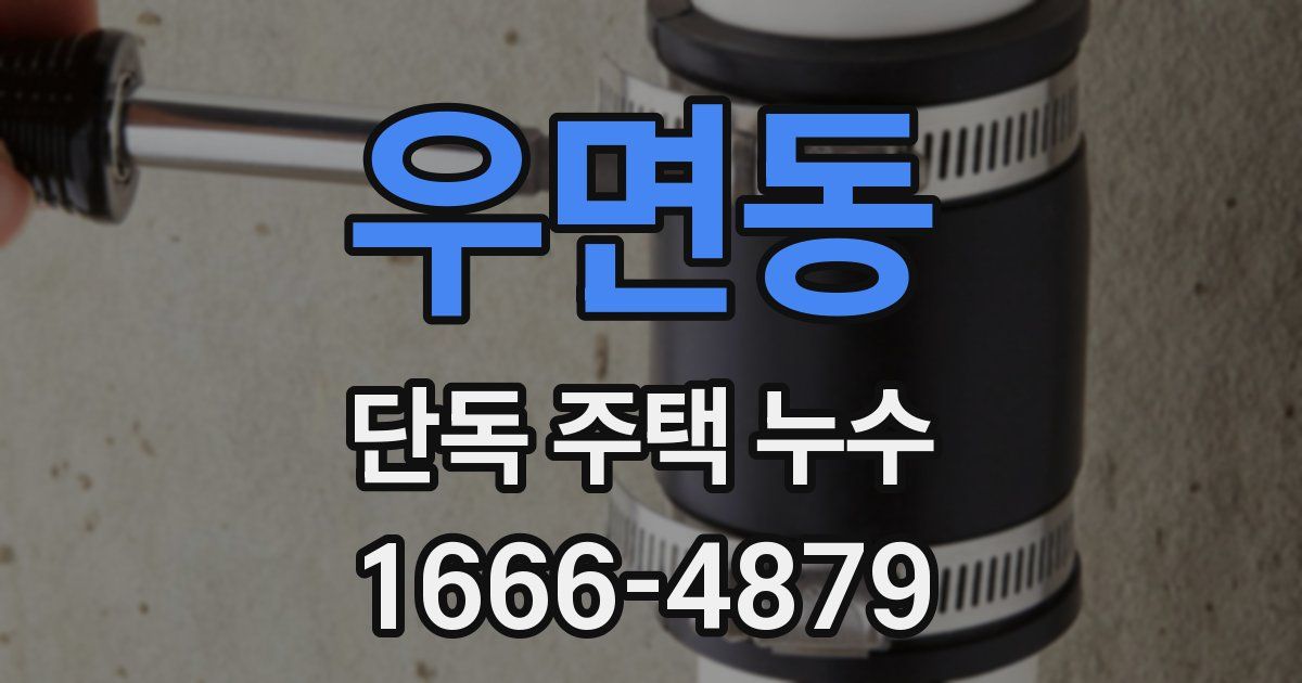 우면동 단독 주택 누수
