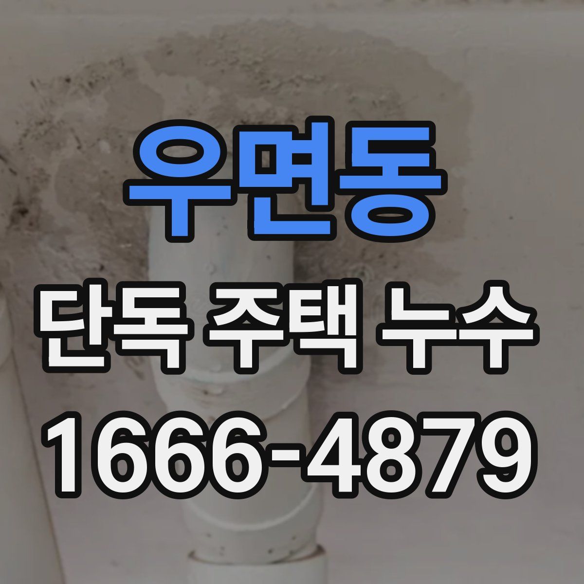 우면동 단독 주택 누수