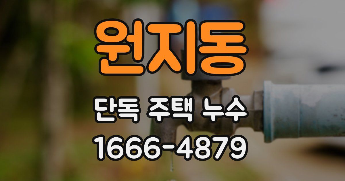 원지동 단독 주택 누수