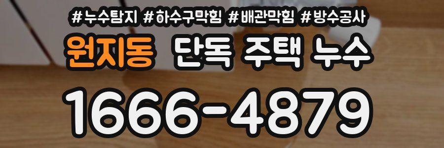 원지동 단독 주택 누수